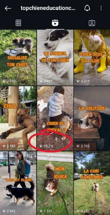 nombre de vues apres formation reseaux sociaux